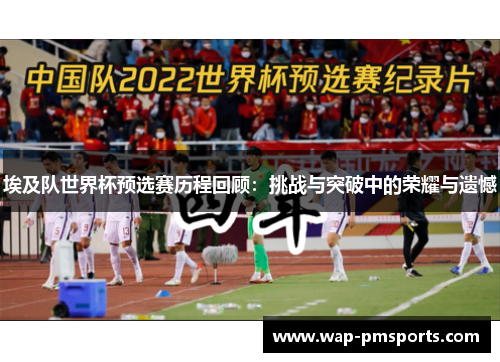 埃及队世界杯预选赛历程回顾：挑战与突破中的荣耀与遗憾