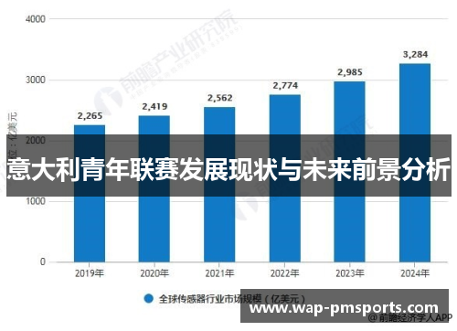 意大利青年联赛发展现状与未来前景分析