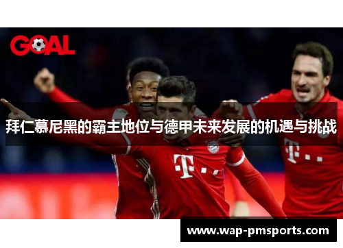 拜仁慕尼黑的霸主地位与德甲未来发展的机遇与挑战