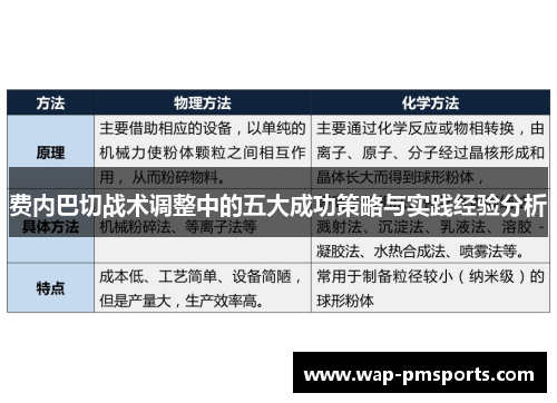 费内巴切战术调整中的五大成功策略与实践经验分析