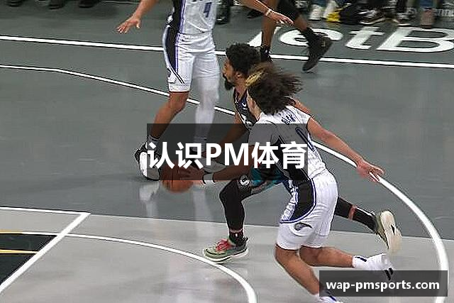 认识PM体育